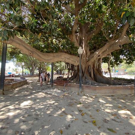 アリカンテTropical Loftアパートメント エクステリア 写真