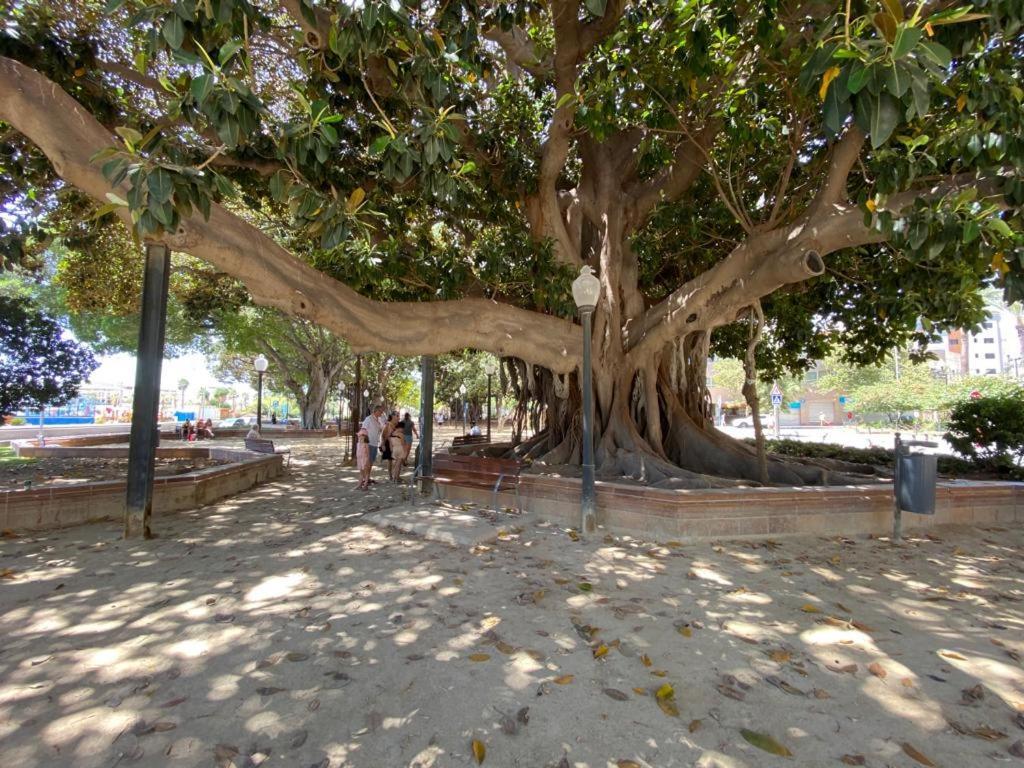 アリカンテTropical Loftアパートメント エクステリア 写真